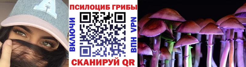 Псилоцибиновые грибы MAGIC MUSHROOMS Кореновск