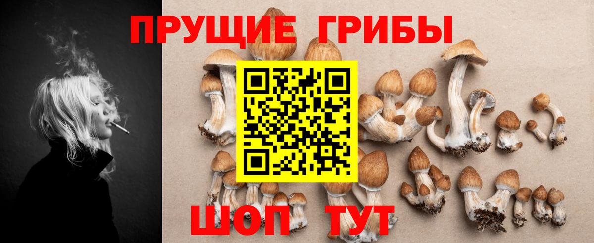 Псилоцибиновые грибы прущие грибы Кореновск
